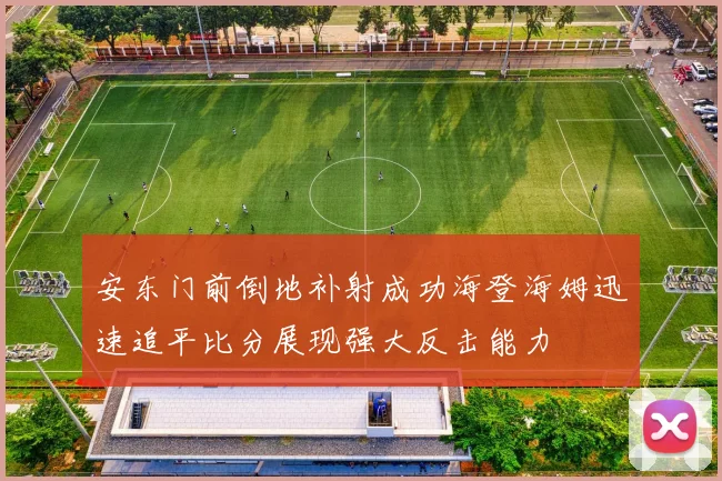 安东门前倒地补射成功海登海姆迅速追平比分展现强大反击能力