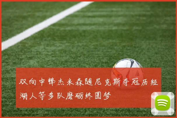双向中锋杰米森随尼克斯夺冠历经湖人等多队磨砺终圆梦